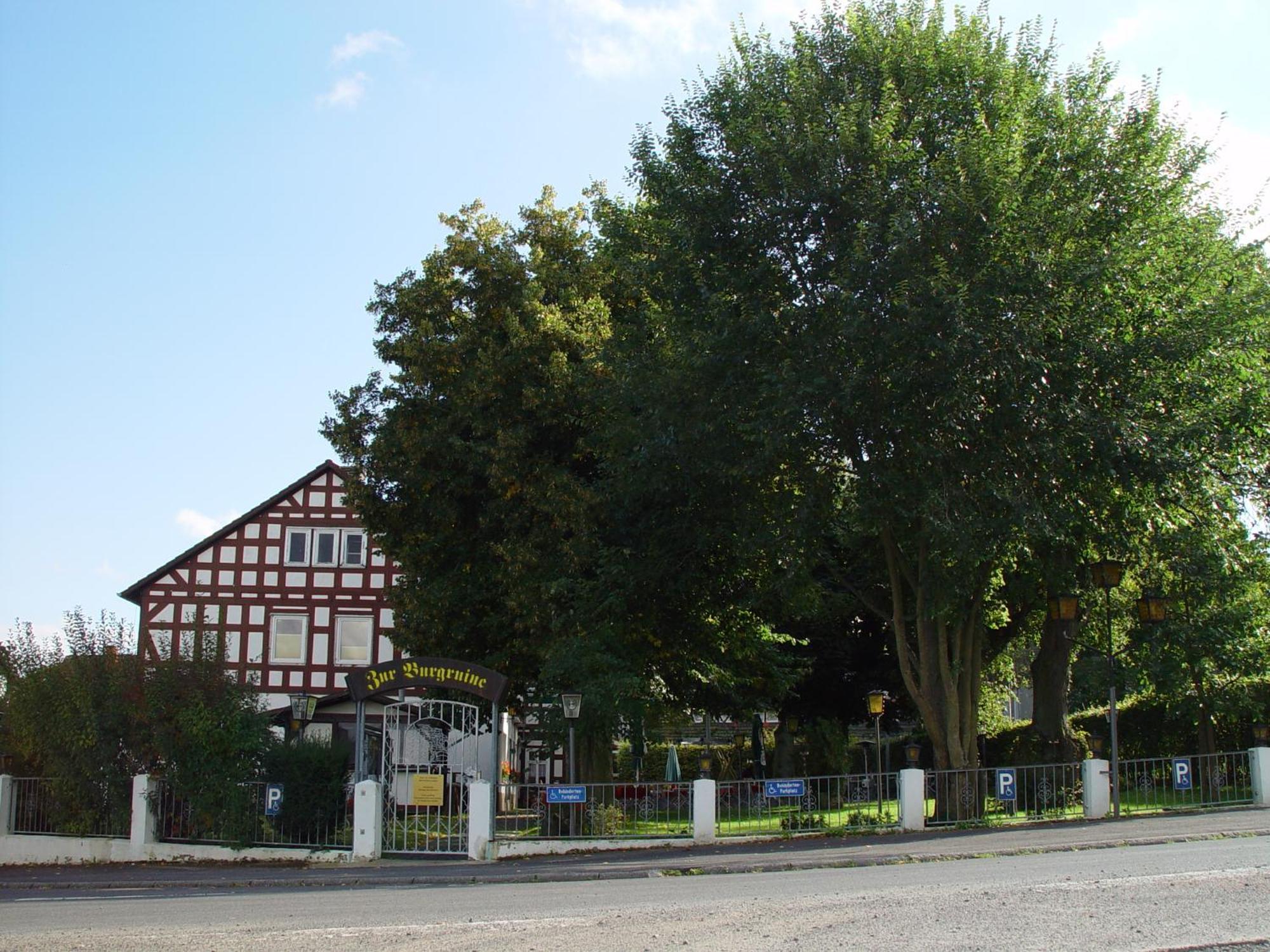 Hotel Zur Burgruine Frauenberg Ebsdorfergrund Zewnętrze zdjęcie